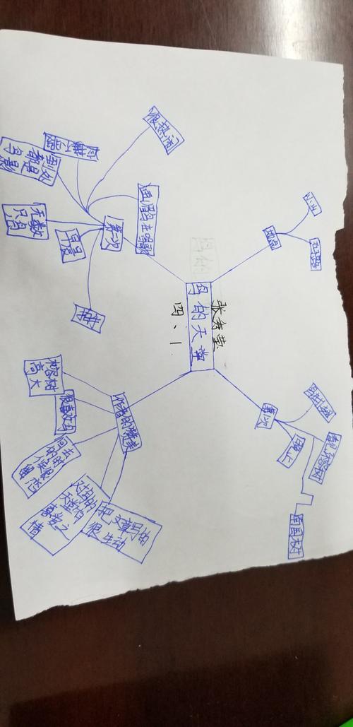 《鸟的天堂》思维导图优秀作品展.