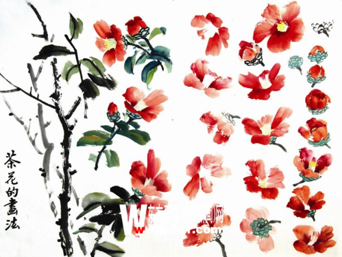 国画的茶花的花朵颜料怎么配
