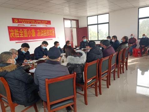 新洲区领导朱亚带队在徐古开展村"两委"换届调研