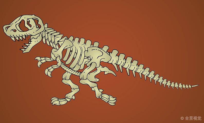 恐龙_骨骼_骨头_特别_发光_彩色_矢量_插画_图片大全—全景创意图库