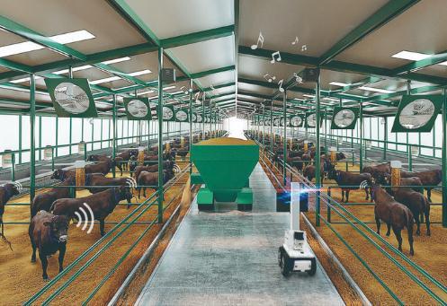 智能化无人牛舍示意图.