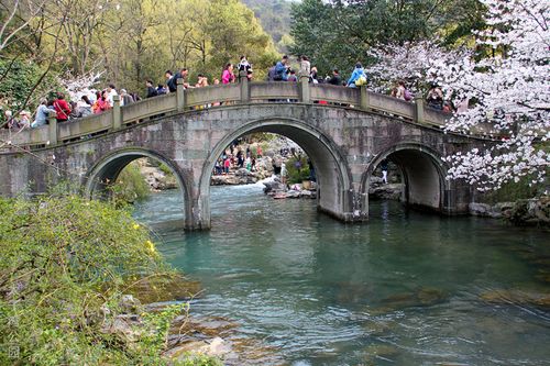 太子湾公园,跨水筑桥,樱花流水,相映成趣