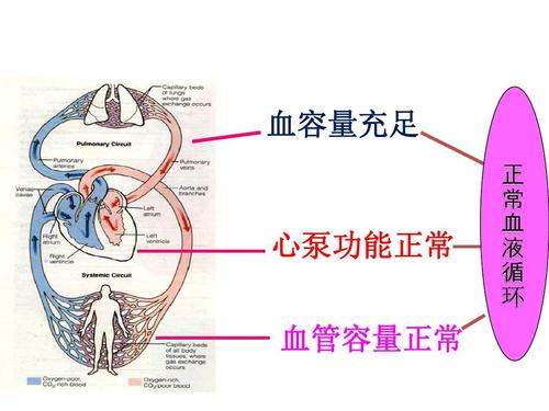 低血容量休克复苏指南及新进展