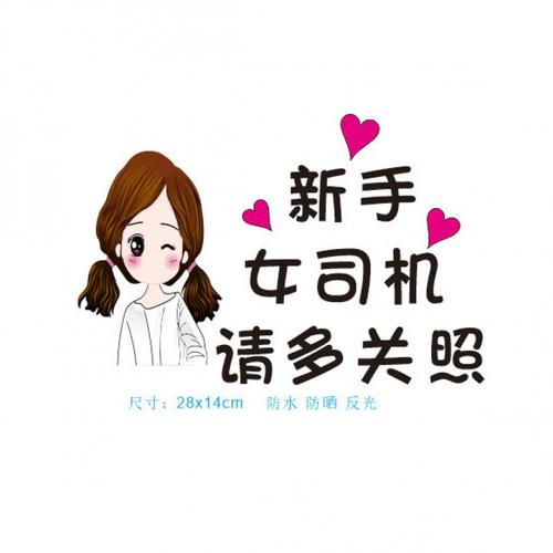 实习车贴汽车新手女司机新手上路女司机加大版实习超大特大实习标志