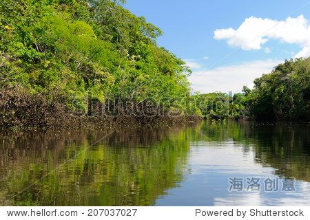 colombia amazonas landscape. the photo present amazon river.