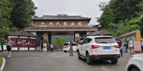 贵州避暑(三)凤冈九龙山