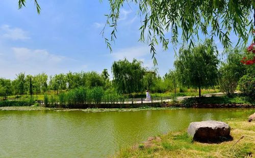 高招|今年多少分可以上漯河医专,郑州信息工程职业学院?