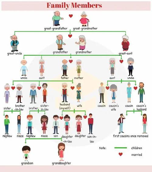 家庭成员和亲戚的称谓大集合_高中英语_学习资料大全
