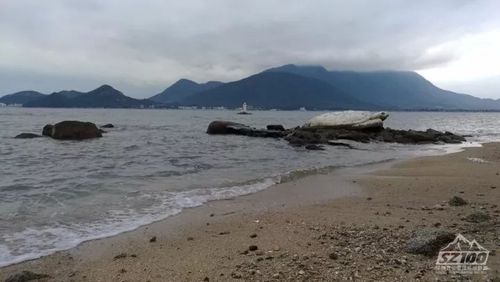 (↑ 较场尾沙滩)