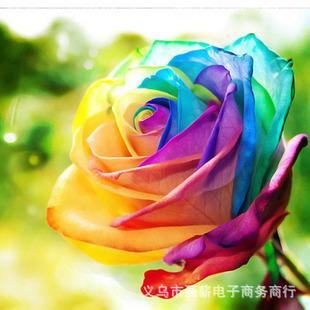 批发diy钻石画6d方钻水晶砖石绣十字绣贴钻画客厅七彩玫瑰儿童画
