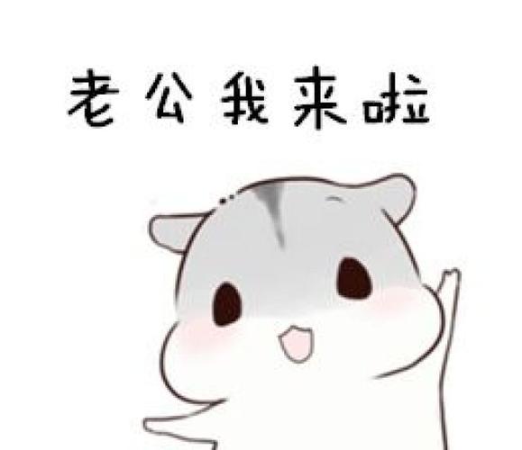 hamham 仓鼠 表情包 老公
