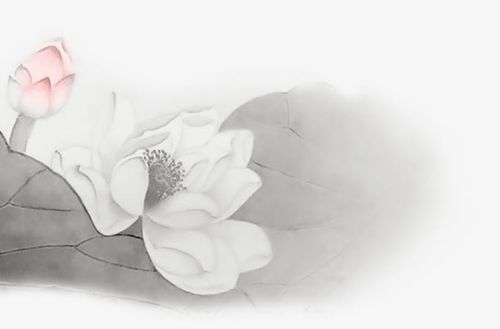 水墨莲花