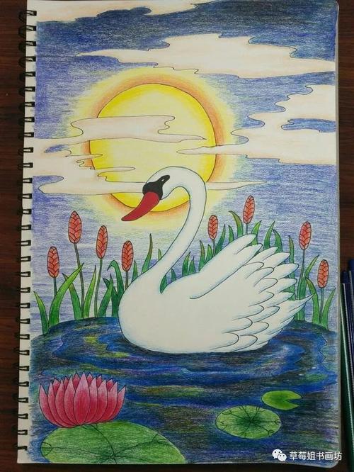 教程|儿童马克笔绘画《美丽的天鹅》