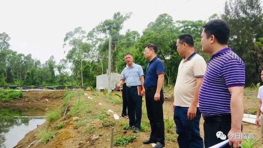 潘学峰通过实地查看,与调楼镇相关负责人及经营者交