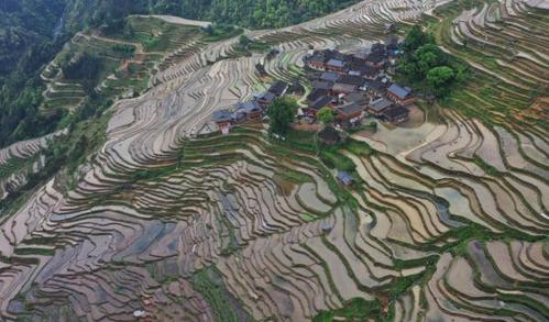 贵州从江梯田美