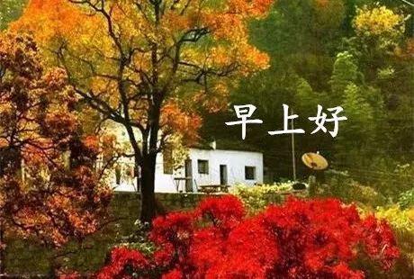 11.5星期天《早安心语》