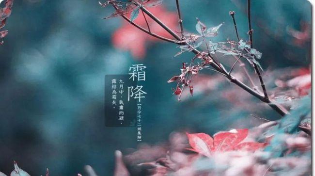 霜降这些常识你一定要知道