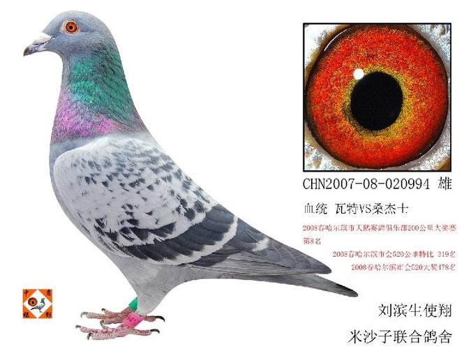 刘滨生