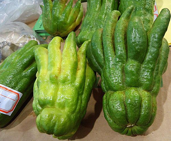 佛手瓜的营养价值