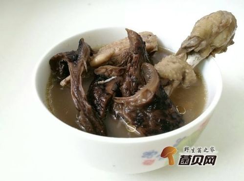 虎掌菌的功效与作用有哪些,禁忌是什么?