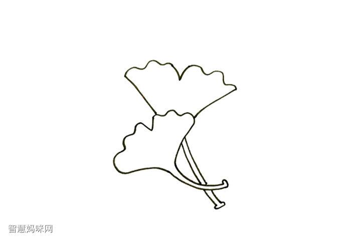 树叶简笔画大全银杏叶怎么画