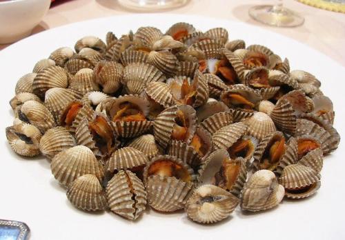25种贝壳类海鲜盘点