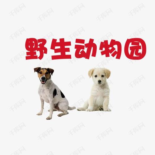 野生动物园艺术字设计图片-千库网