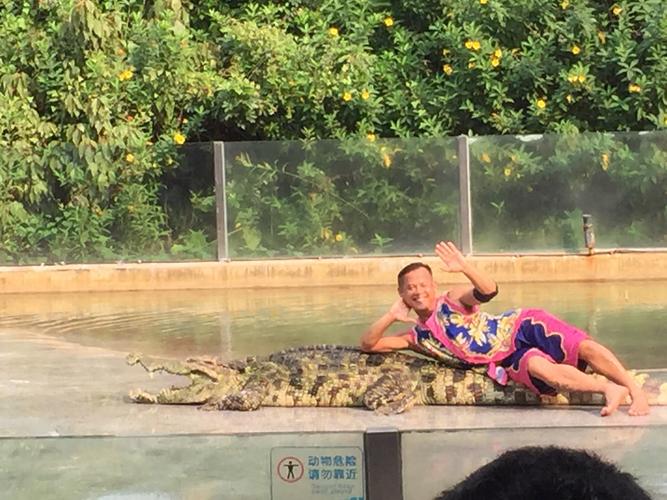 广州鳄鱼公园