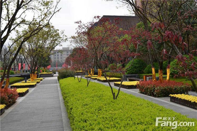 社区实景图: 万科城6期燕园燕园共11栋楼,楼间距40米-50米,容积率3.