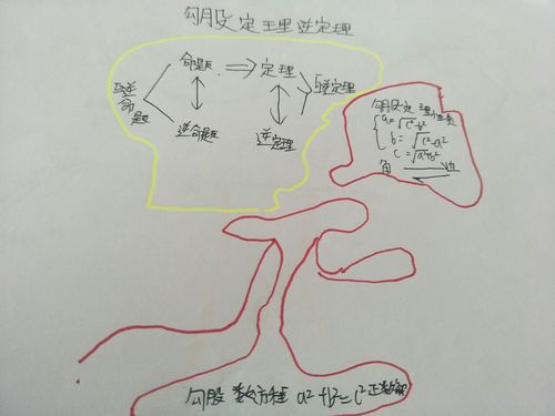 八年级上思维导图