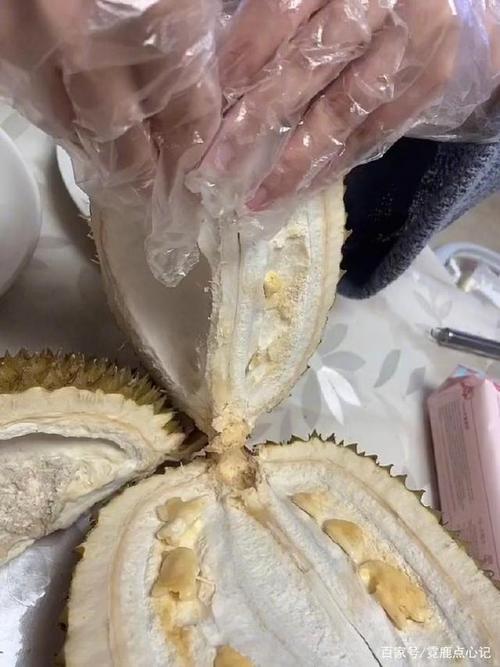 榴莲这样选出来的果肉会又大又甜!你学到了吗?