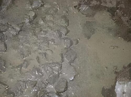 砼泌水与早期砼开裂原来是这样的关系