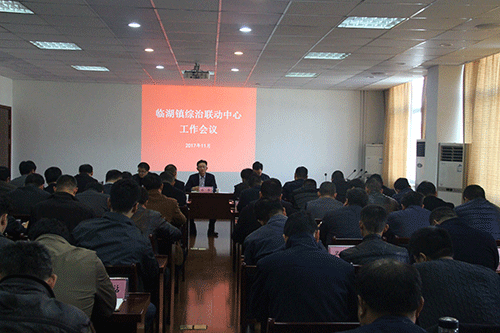 镇党委副书记,镇长徐敏,党委委员,副镇长李文华出席会议,各村(社区)