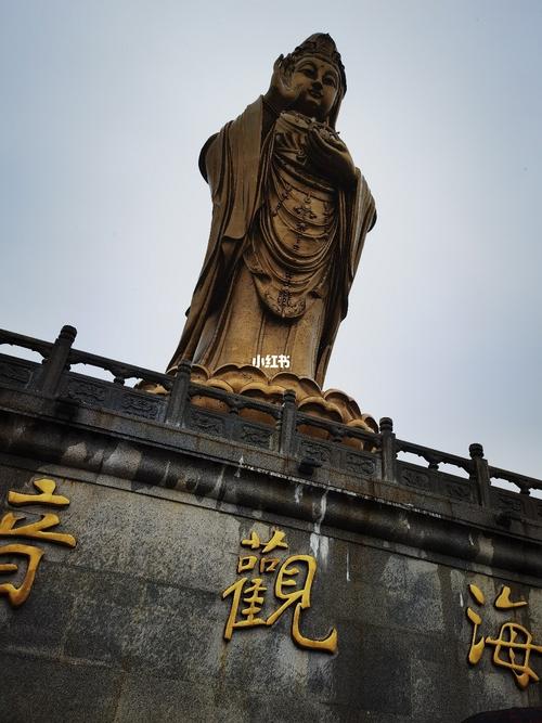 普陀山—普济禅寺_海天怎么样_雨润_普陀山_出行_人文