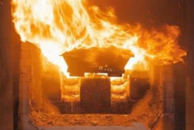 细说美女死刑犯毕丽梅,2005年枪决后火葬场"死而复生"