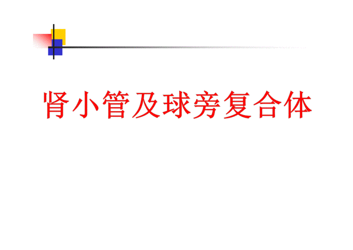 162肾小管及球旁复合体pdf14页