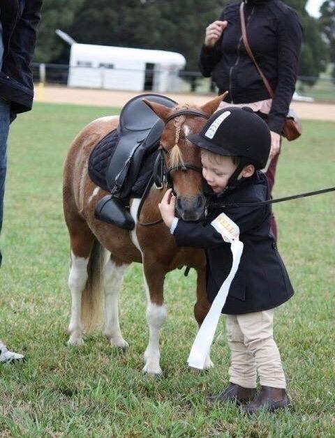 那拉提小矮马表演赛:小短腿与小萌娃的神奇组合