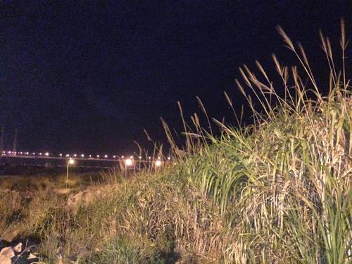 深夜上海① | 荒郊野岭里这个气象站,迎接吹向上海的第一缕风,涌向