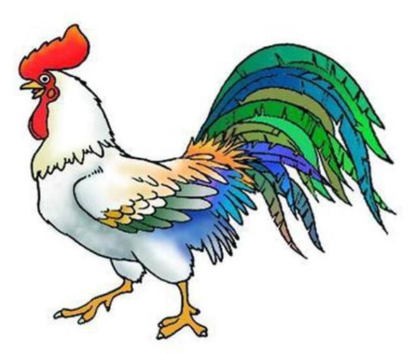 卡通公鸡怎么画 美丽的公鸡儿童画图片素描