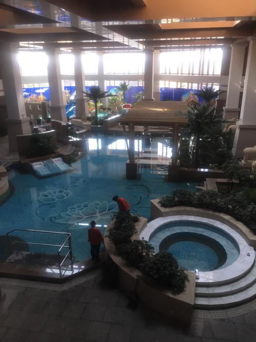 齐河孔雀王蓝海御华温泉酒店·金孔雀自助百汇攻略,王