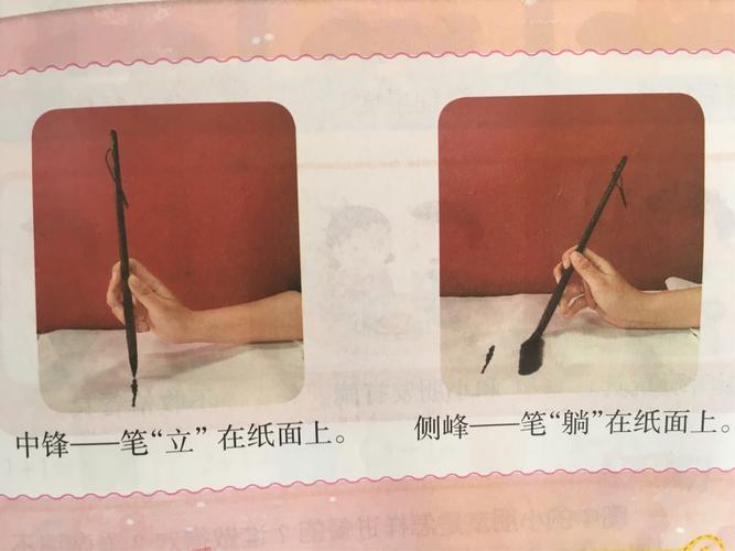 掌握了握笔姿势,接下来我们来学习中锋,侧锋的表现形式吧!