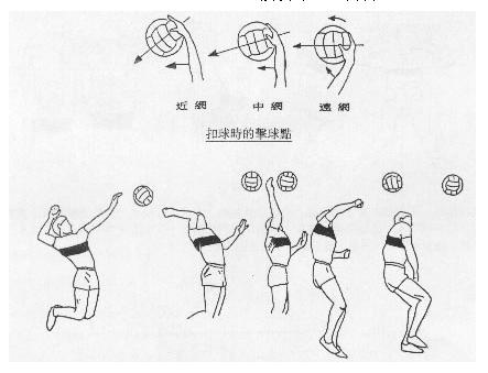 排球扣球技术及图解 - wsyzsu_841212 - 舒慧的博客