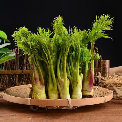 【东北农产】吉林通化野菜(刺嫩芽,猴腿,大叶芹,松茸)