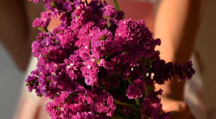 三,勿忘我的花语?