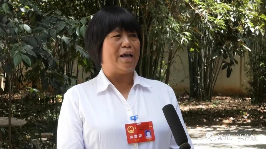 淅川县领导分别参加人大代表团分组审议