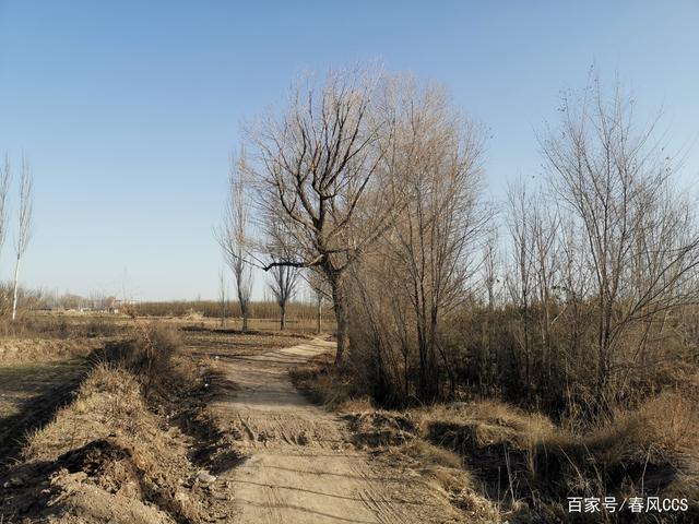 小镇武南冬日的郊外乡村风景
