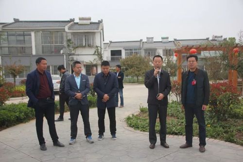 各村居支部书记,各部门负责人辗转泗洪县6个乡镇街道观摩学习农民集中