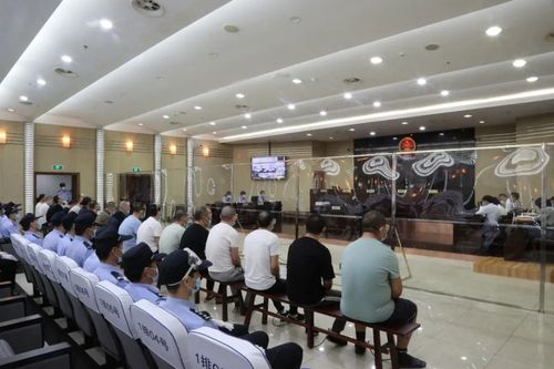 奉化法院对徐某某等18人黑社会性质组织犯罪案件依法作出一审判决
