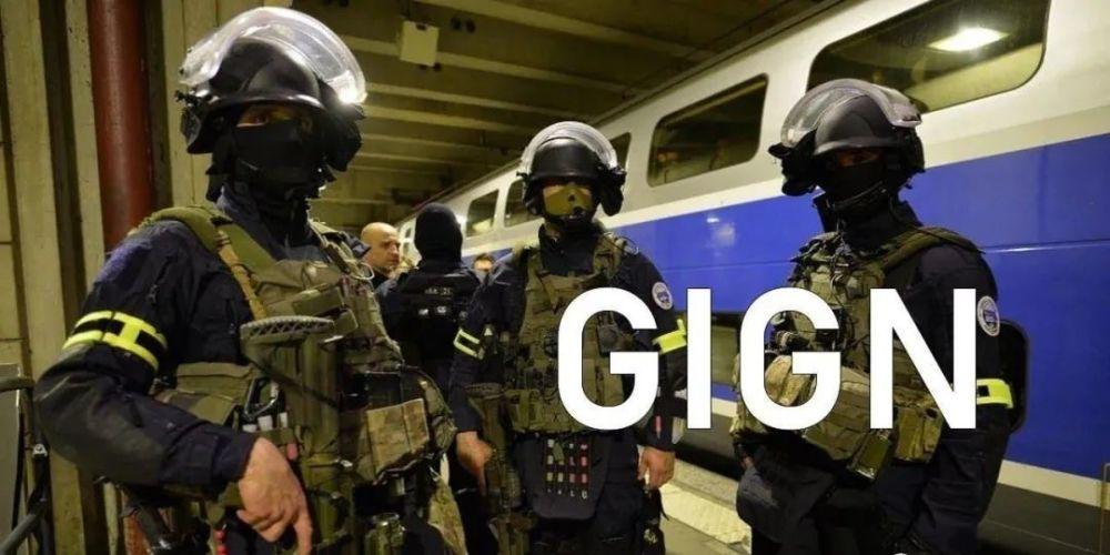 9,法国国家宪兵干预队(gign)