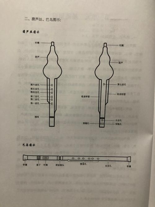 今天的课主要分以下几部分: 1,介绍葫芦丝的结构:葫芦丝的构造较特殊